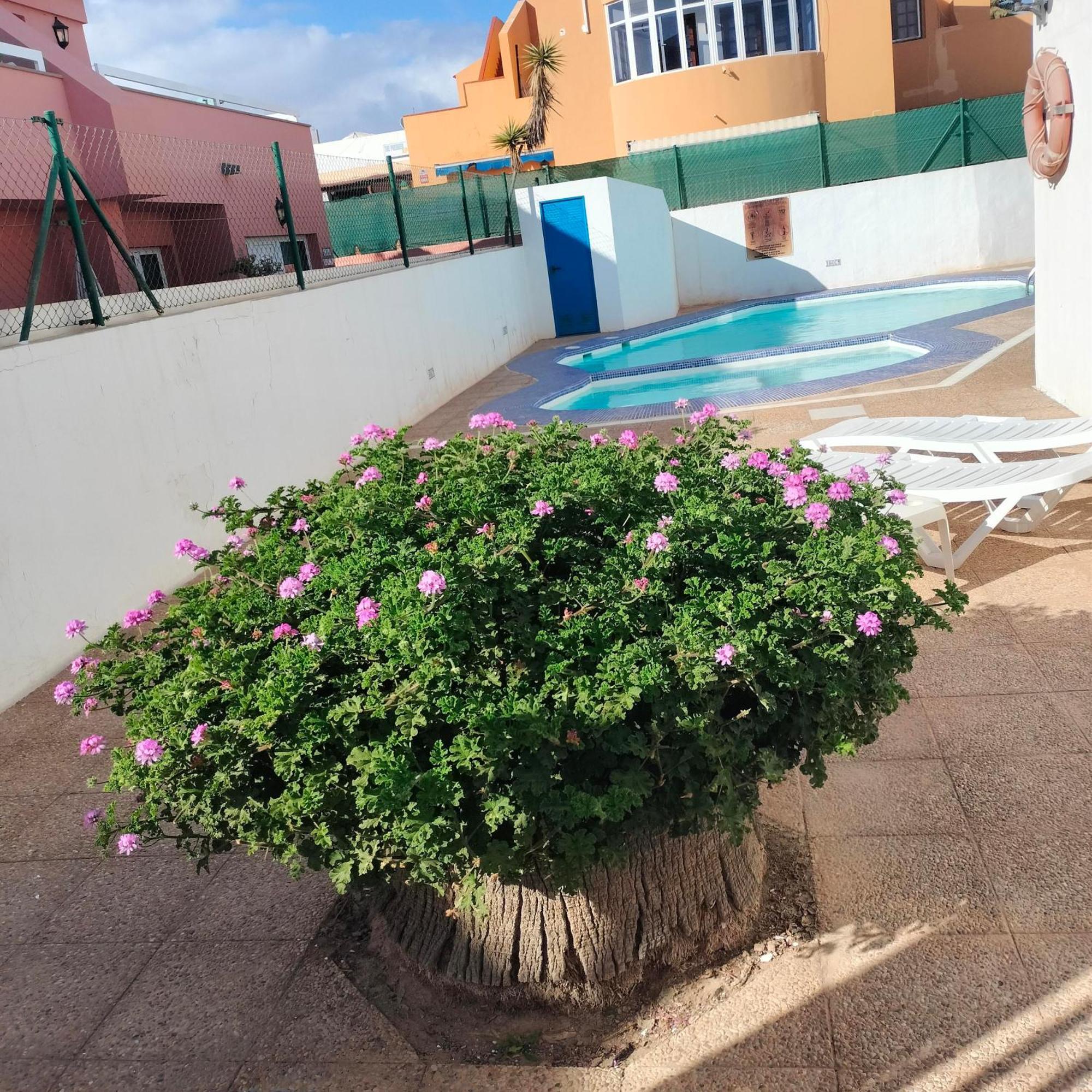 Vivienda Vacacional Alipatri Caleta De Fuste Exteriör bild
